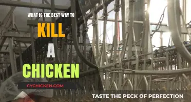 The Quickest, Most Humane Way to Dispatch a Chicken