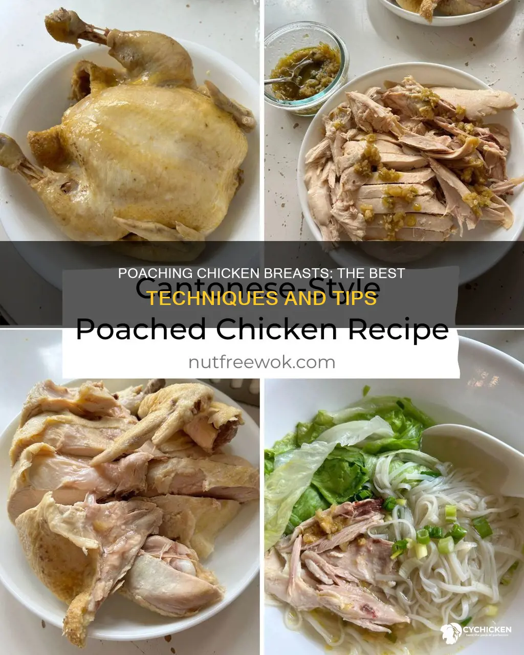 what is the best way to poach chicken braests