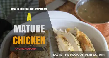 Mastering Mature Chicken: The Ultimate Preparation Guide