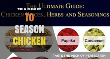 Mastering Chicken Seasoning: Top Tips for Perfect Flavor Every Time