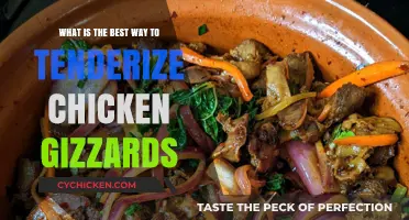 Tenderizing Chicken Gizzards: The Best Techniques to Try