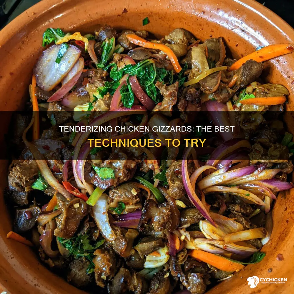 what is the best way to tenderize chicken gizzards