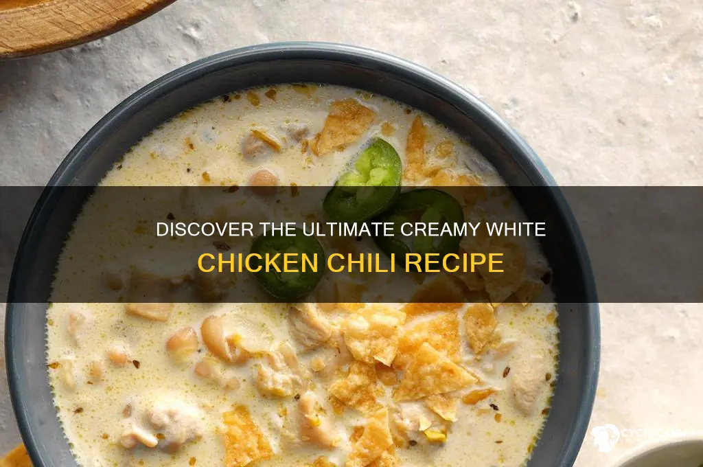 what is the best white chicken chili recipe