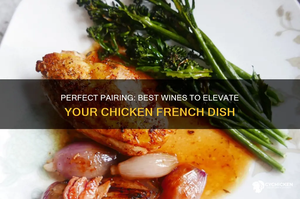 what is the best wine for chicken french