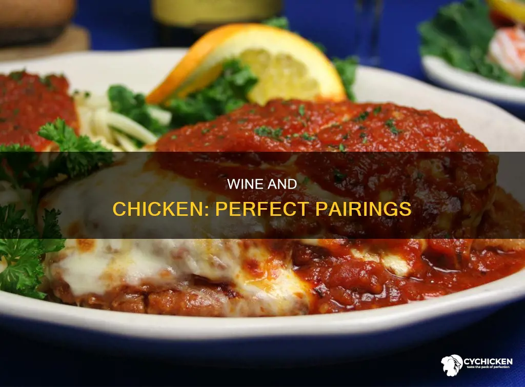 what is the best wine to go with chicken