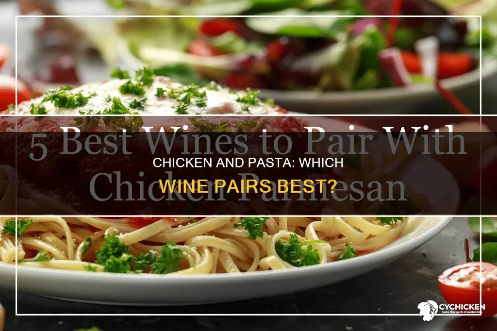 what is the best wine with chicken and pasta