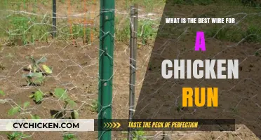 Chicken Wire Buying Guide: Selecting the Right Wire for Your Coop