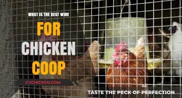 Choosing the Perfect Wire for Your Chicken Coop: A Comprehensive Guide
