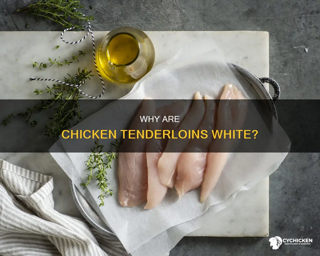what is the big white think in chicken tenderloins