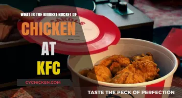 KFC's Colossal Bucket: How Big Is It Really?