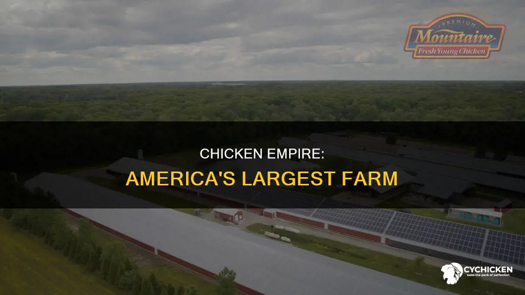 what is the biggest chicken farm in the us