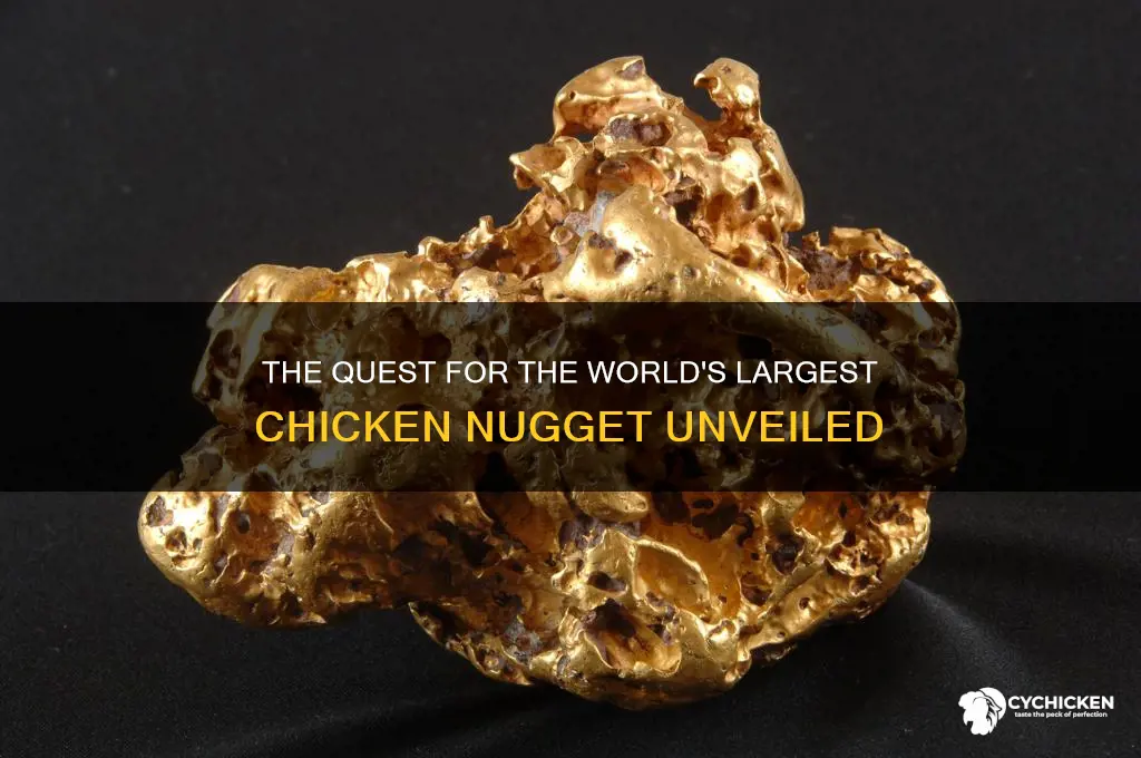 what is the biggest chicken nugget
