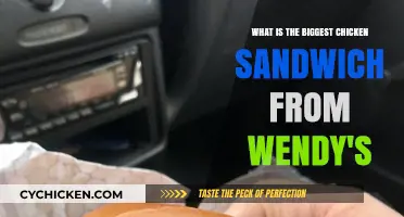 Wendy's Biggest Chicken Sandwich: Size, Taste, and Value Revealed