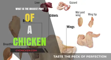 Unveiling the Largest Component: What's the Biggest Part of a Chicken?