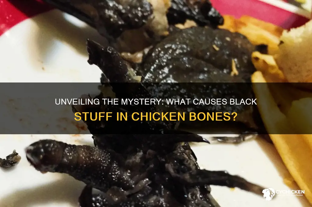 what is the black stuff in chicken bones