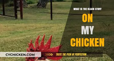Understanding the Black Stuff on Your Chicken: Causes and Concerns