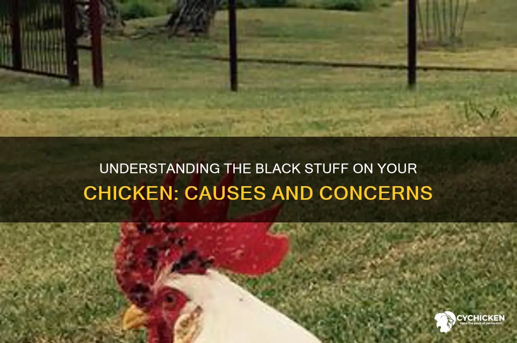 what is the black stuff on my chicken