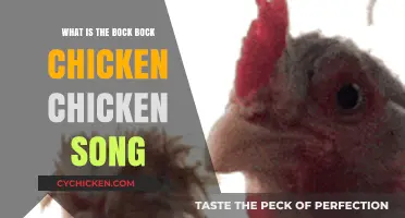Bock Bock Chicken Song: Origins, Meaning, and Viral Craze Explained