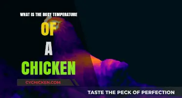 Understanding the Normal Body Temperature Range of Healthy Chickens