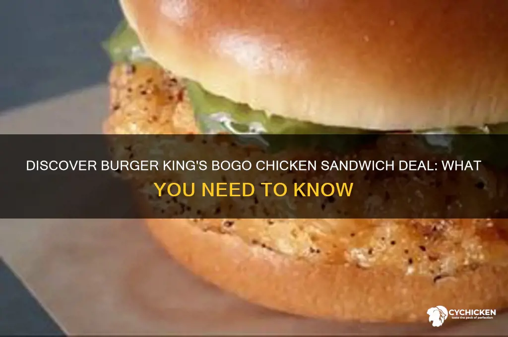 what is the bogo chicken sandwich burger king