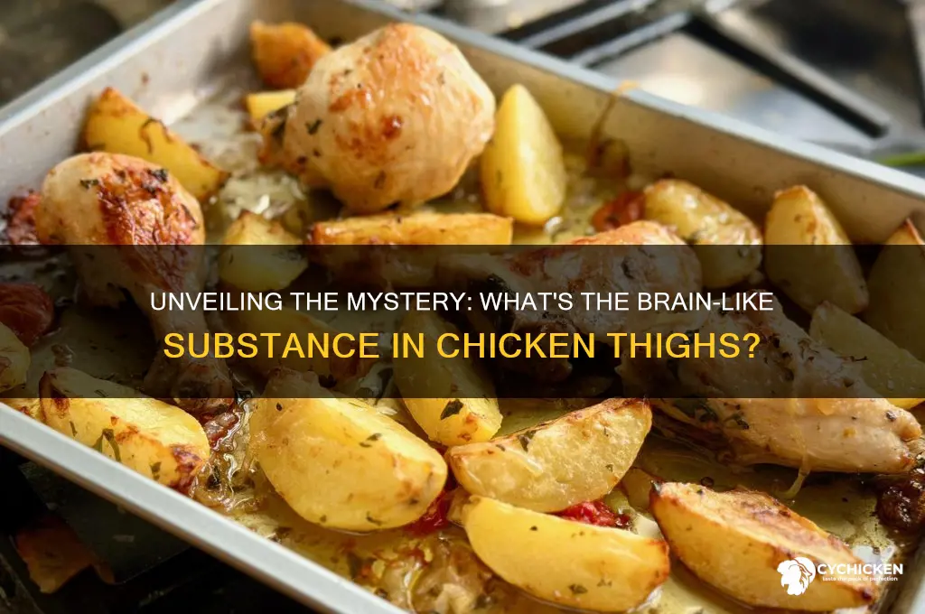 what is the brain looking stuff in chicken thigh