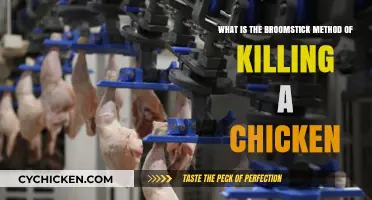The Broomstick Method: A Quick, Humane Way to Dispatch Chickens