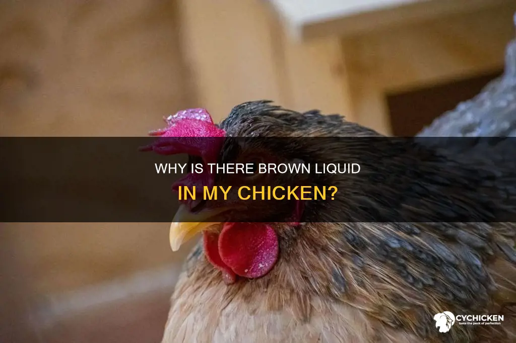 what is the brown stuff coming out of my chicken