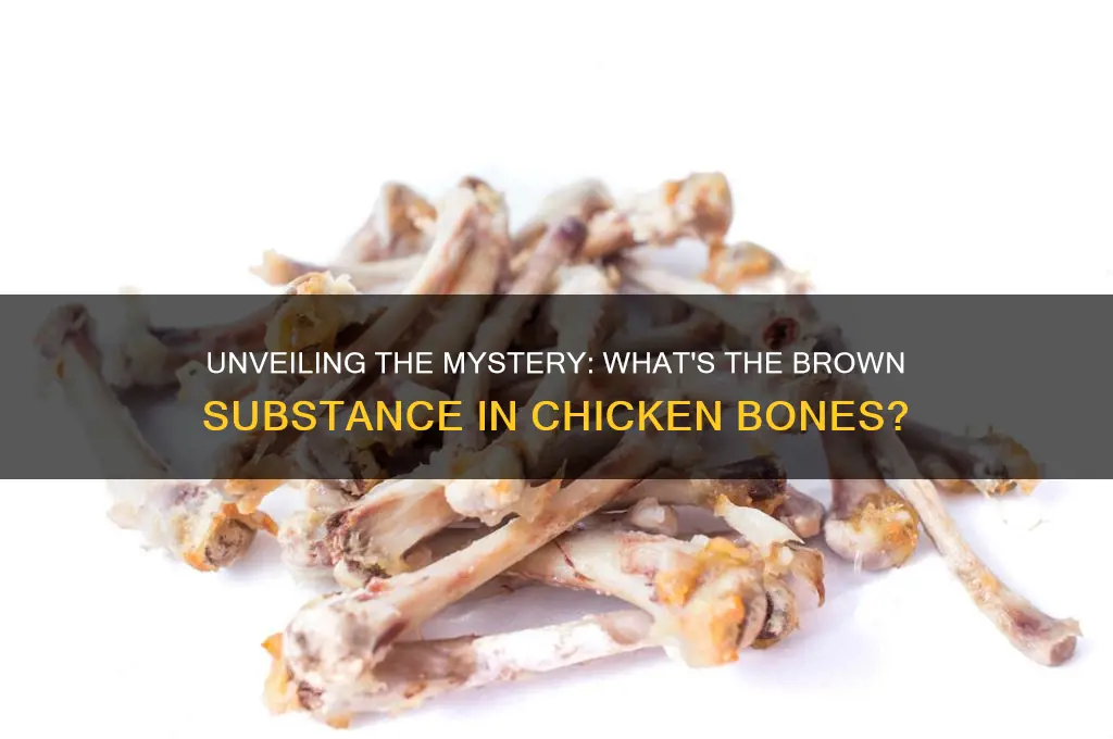 what is the brown stuff in chicken bones