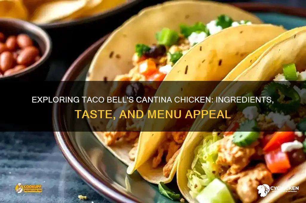 what is the cantina chicken at taco bell