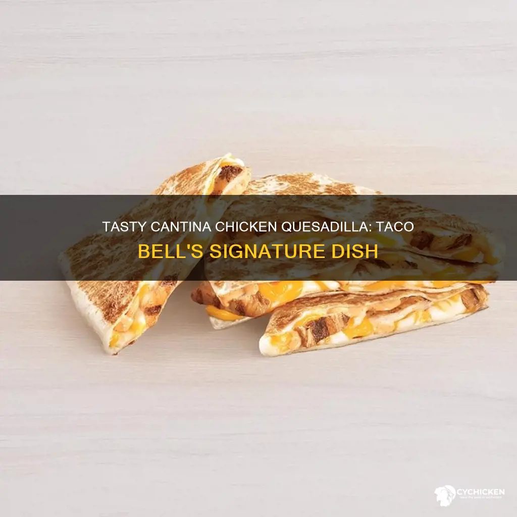 what is the cantina chicken quesadilla at taco bell