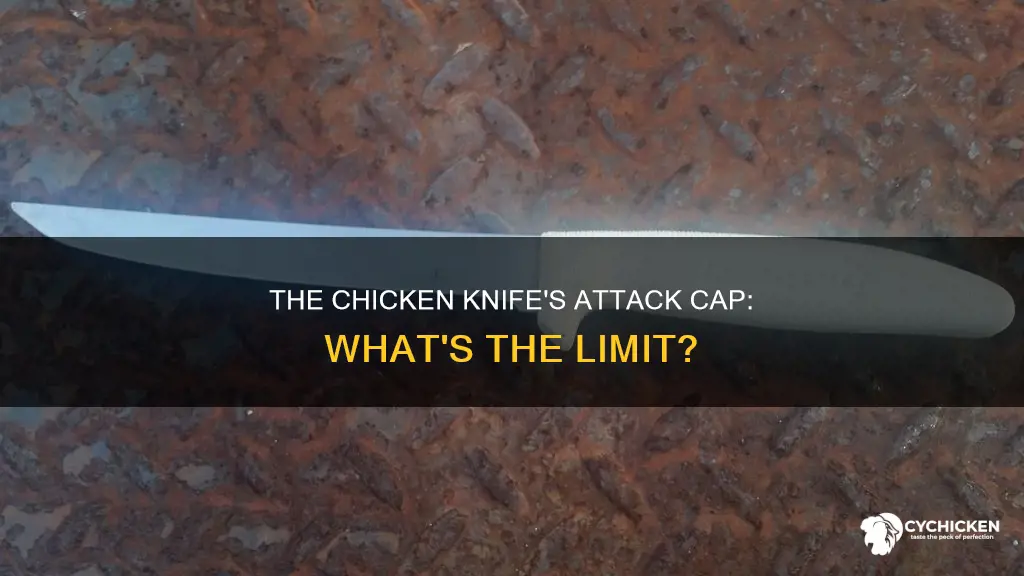 what is the cap to the chicken knife
