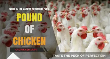 Chicken's Carbon Footprint: How Much Does it Weigh?