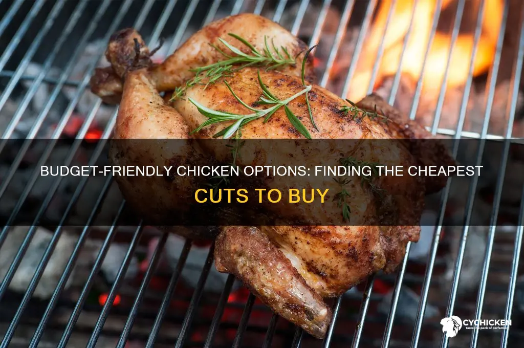 what is the cheapest chicken to buy
