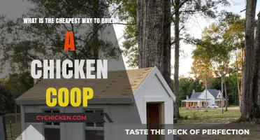 Budget-Friendly Chicken Coop: A DIY Guide to Affordable Poultry Housing
