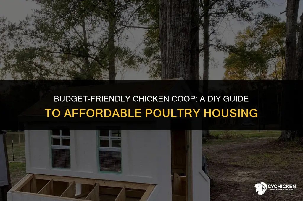what is the cheapest way to build a chicken coop