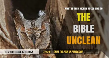 Chicken in the Bible: Unclean Birds and Why