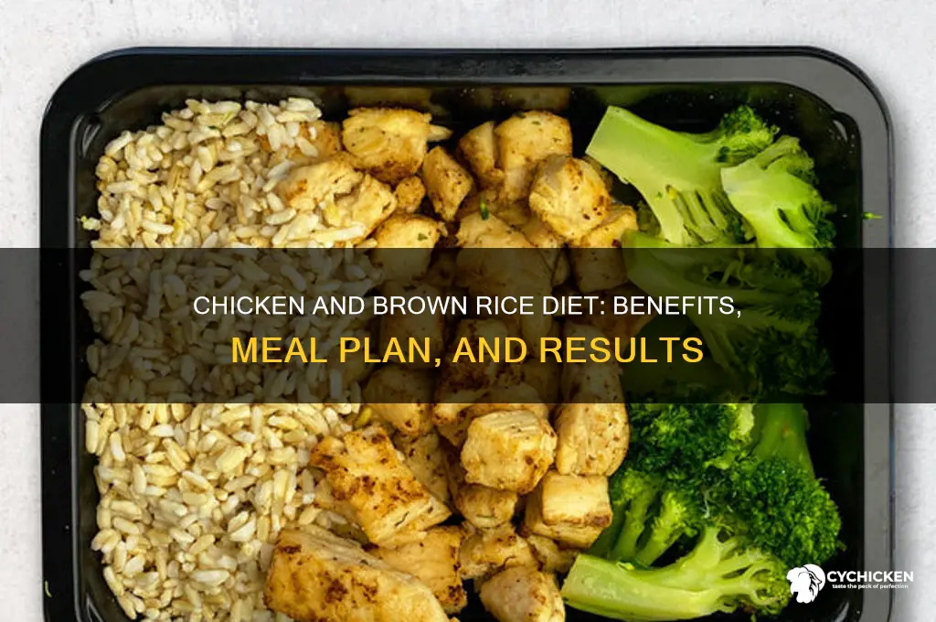 what is the chicken and brown rice diet