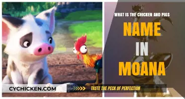 Moana's Animal Sidekicks: Names and Personalities