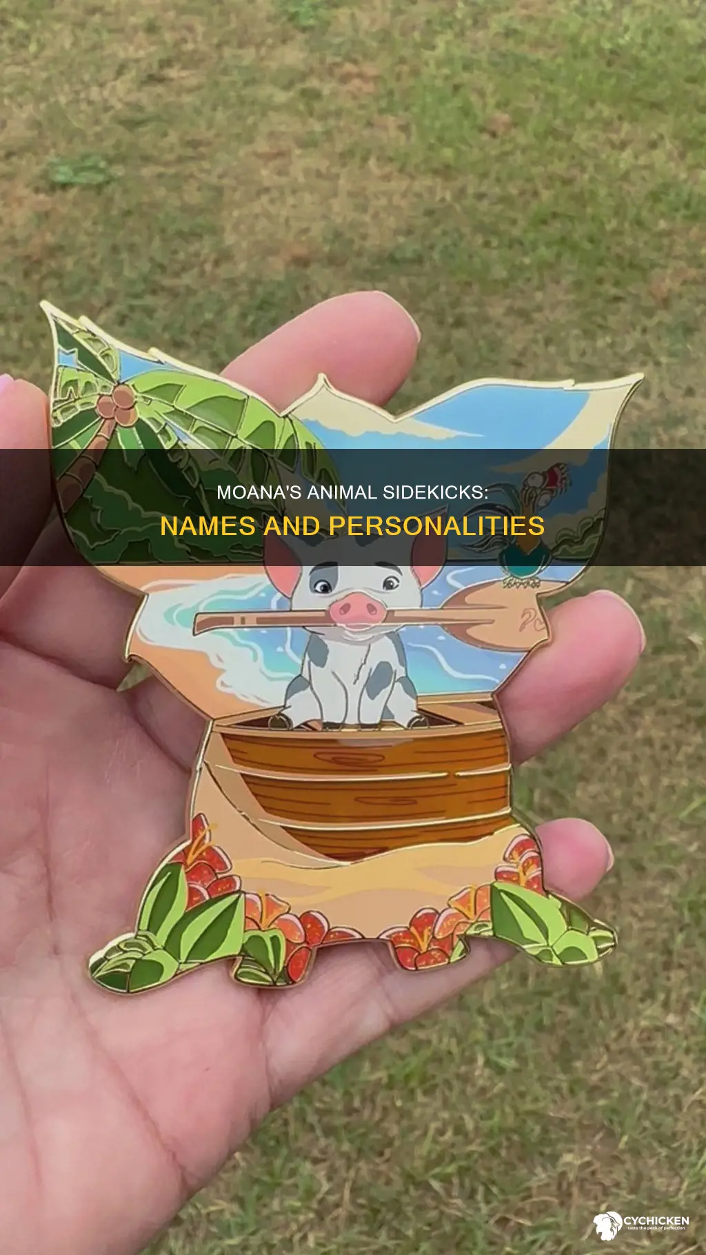 what is the chicken and pigs name in moana