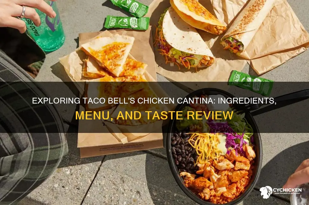 what is the chicken cantina at taco bell