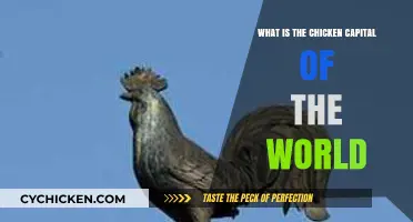 Discovering the Global Chicken Capital: A Poultry Powerhouse Revealed