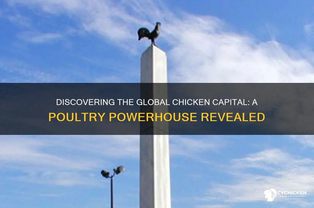what is the chicken capital of the world