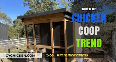 Exploring the Rise of Backyard Chicken Coops: A Sustainable Living Trend