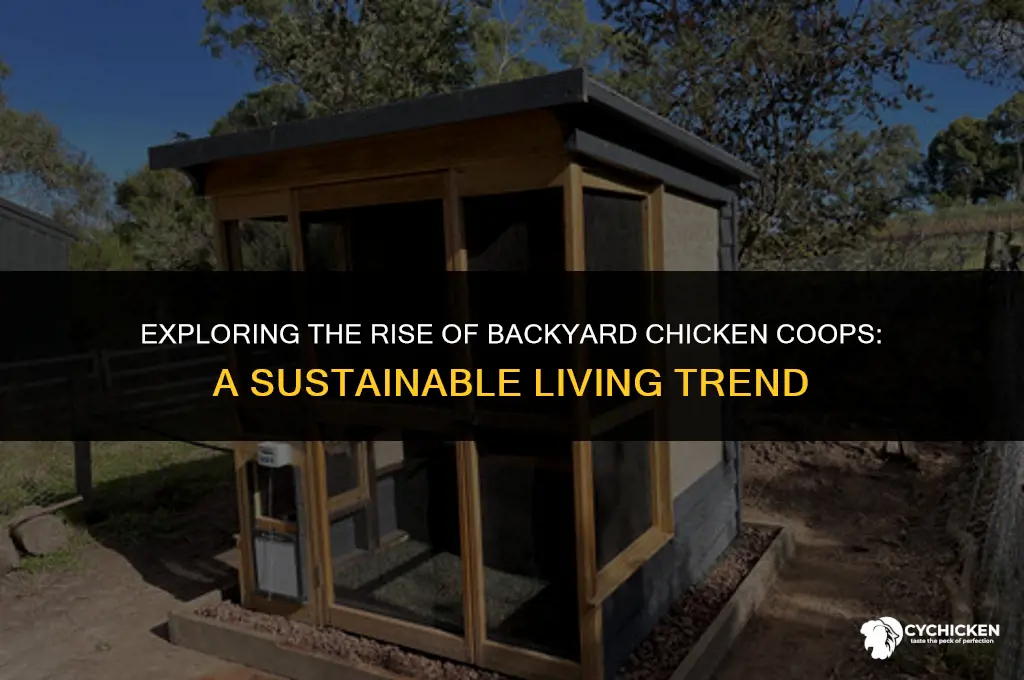 what is the chicken coop trend