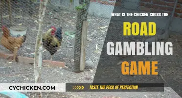 The Chicken Crossing Road Gambling Game Explained