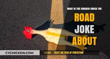 The Joke: Why Did the Chicken Cross the Road?