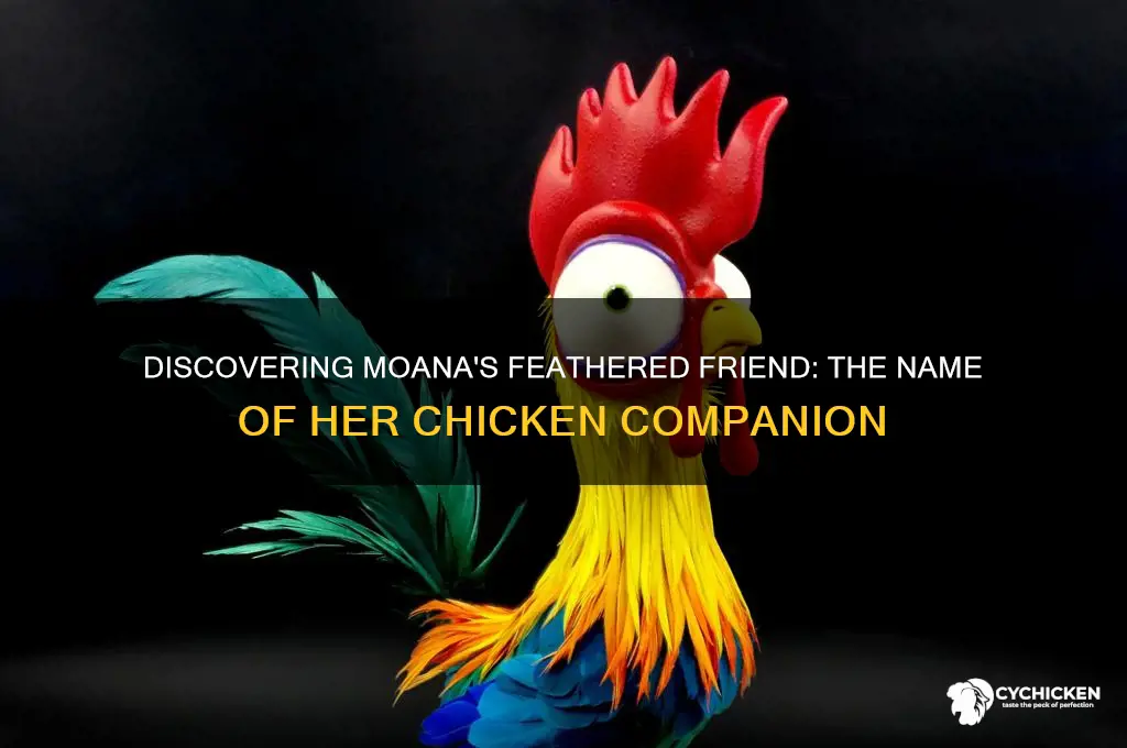 what is the chicken from moana