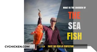 Unveiling the Mystery: What is the Chicken of the Sea Fish?