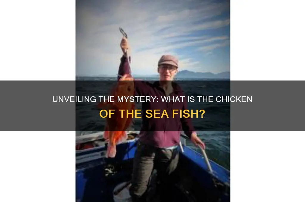 what is the chicken of the sea fish