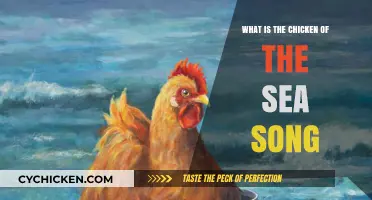 Unraveling the Mystery: What is the Chicken of the Sea Song?